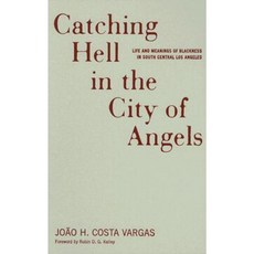Catching Hell in the City of Angels: Life and Meanings of Blackness in South Central Los Angeles Hardcover, University of Minnesota Press