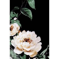 Journal - White Rose Paperback, Createspace Independent Publishing Platform