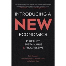 Introducing a New Economics: Pluralist Sustainable and Progressive Paperback, Pluto Press (UK)
