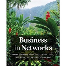 Business in Networks 平裝版, Wiley