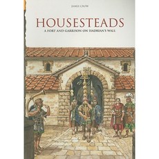 Housesteads: A Fort and Garrison on Hadrian's Wall Paperback, Tempus