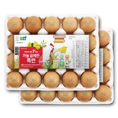 가농금계란 비타민D 함유 1+등급 특란, 40구, 1박스