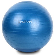 업앤쉐이프 웨이트 짐볼, 블루
