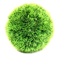 파이브오션 공조화 수초, 1개