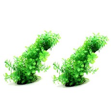 랑후 인조수초 22020, 2개