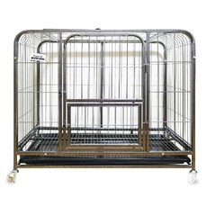 피플펫 펫블랑 반려동물 블랙바퀴 진도장 + 배변판, XD-010, 1개