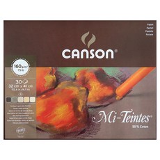 Can Xiong Miyaub Pad Earth Tone 專家用素描本, 32 x 41 厘米, 30張, 1本