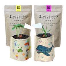 틔움세상 그림봉투화분 미니 해바라기 + 패랭이꽃 키우기 세트, 1세트