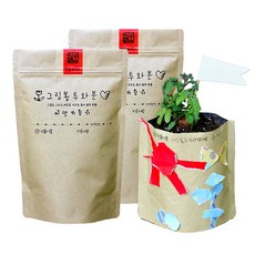 틔움세상 그림봉투화분 방울토마토 키우기, 2개입