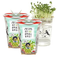 틔움세상 한컵새싹농장 텃밭가꾸기 2세트, 무순