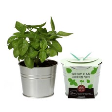 GROWCAN 식물 키우기 세트, 바질