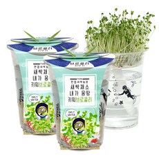 틔움세상 한컵새싹농장 키우기 2p, 브로콜리