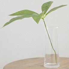 For Home水壺玻璃花瓶 小+假平安樹枝, 花瓶（玻璃），人造花（綠色）