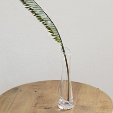 For Home長型玻璃花瓶+椰子樹葉人造花, 花瓶（玻璃），葉子（綠色）