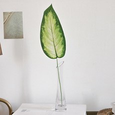 포홈 롱라인글라스 화병 + 투톤 잎 조화, 화병(투명), 조화(그린), 1개