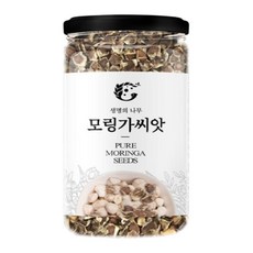 청초린 모링가씨앗, 70g, 1개