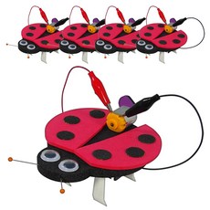 향앤미과학 STEAM 사이언스 무당벌레 진동로봇 5인용 과학실험키트, 1세트