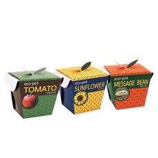 꿈쟁이 에코팟 식물키우기 3종세트 방울토마토 + 해바라기 + 메시지콩, 1세트