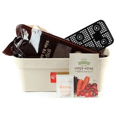 꿈쟁이 영양가득 텃밭세트 S 방울토마토 + 적상추 + 당근, 1세트