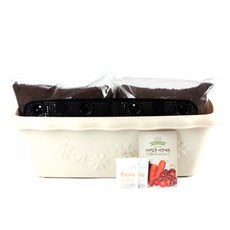 꿈쟁이 영양가득 텃밭세트 프롤 L 방울토마토 + 적상추 + 당근, 1세트