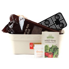 꿈쟁이 영양가득 텃밭세트 S 바질 + 방울토마토 + 청상추, 1세트