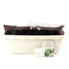 꿈쟁이 영양가득 텃밭세트 프롤 L 부추 + 파 + 청상추, 1세트