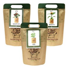 꿈쟁이 종이봉투 화분 플라워백 3종세트 허브바질 + 방울토마토 + 해바라기, 1세트