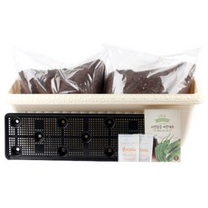 꿈쟁이 영양가득 텃밭세트 릴리프 L 적상추 + 오이 + 고추, 1세트