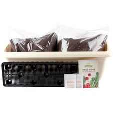 꿈쟁이 영양가득 텃밭세트 릴리프 L 케일 + 루꼴라 + 방울토마토, 1세트