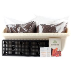 꿈쟁이 영양가득 텃밭세트 릴리프 L 방울토마토 + 적상추 + 당근, 1세트