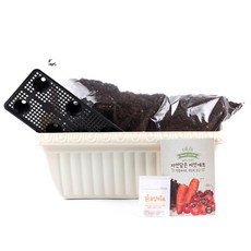 꿈쟁이 영양가득 텃밭세트 M 방울토마토 + 적상추 + 당근, 1세트