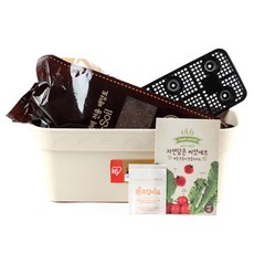 꿈쟁이 영양가득 텃밭세트 S 케일 + 루꼴라 + 방울토마토, 1세트