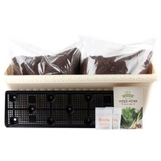 꿈쟁이 영양가득 텃밭세트 릴리프 L 부추 + 파 + 청상추, 1세트