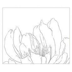 잇디자인 화이트플라워 주방시트지, 1개