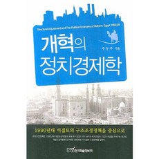 改革的政治經濟學, 韓國學術情報, 朱東柱 著