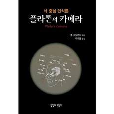 柏拉圖的相機：以大腦為中心的認識論, 保羅·丘奇蘭(Paul M. Churchland), 哲學與現實社