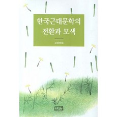 韓國近代文學的轉換與摸索, 深泉