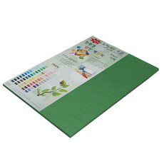 paperculture 環保 New C-Plain 雙面色紙 No60 淺綠色, 30個