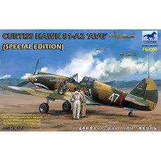 BRONCO 1:48 Curtis Hawk 81-A2戰鬥機 特別版塑膠模型, 1個