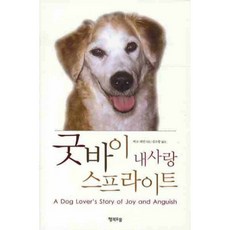 굿바이 내사랑 스프라이트, 행복우물, 마크 레빈 저/김소향 역