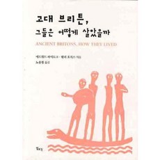 고대 브리튼 그들은 어떻게 살았을까, 일조각, 헨리 호지스