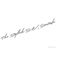 디테일코리아 현대 산타페 데칼 스티커 60cm 10049, 미들그레이, 1개