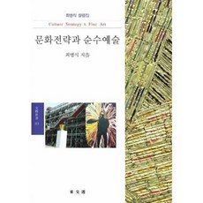 DONGMUNSEON 文化戰略與純粹藝術, 崔炳植 著