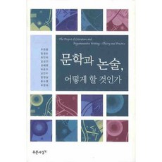 문학과 논술 어떻게 할 것인가, 푸른사상