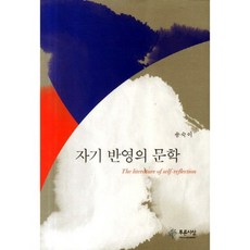 自我反思的文學, 宋淑伊 著, 青色思想