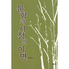 문학과 서정의 이면, 새미, 강정구 지음