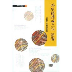 카토블레파스의 운명, 역락, 김성수 저