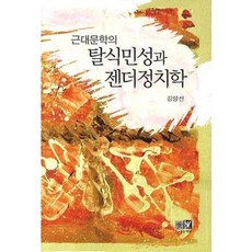 Youkrack 近代文學的後殖民性與性別政治學, 金亮善 著
