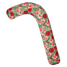 Ein Haus 包括菌群F甘蔗的身體枕頭木材, 象牙