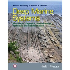 Deep Marine Systems: Processes Deposits Environments Tectonics and Sedimentation Paperback, American Geophysical Union